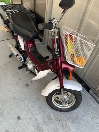 値引き シャリー 角目 美車