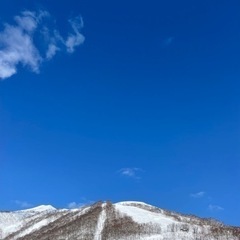 送迎、洗車、接客の画像