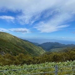 送迎、洗車、接客の画像