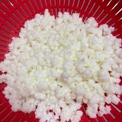 生のケフィアヨーグルトを作るための生ケフィア菌です（^人^）良質☆30g★の画像
