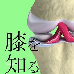 【9/3】【オンライン】ヨガ解剖学を日常に活かす。膝痛や水が溜まる原因は！？膝を徹底的に学ぶ、ヨガ解剖学セラピー［ 膝関節｜基礎編］の画像