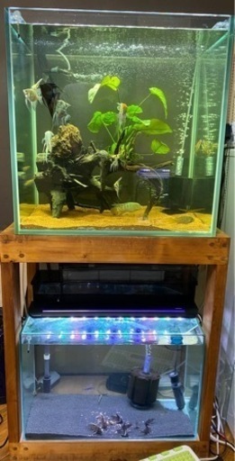 60センチワイド水槽　水槽台付き　写真上段
