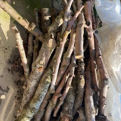 りんごの薪の画像