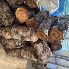 りんごの薪の画像