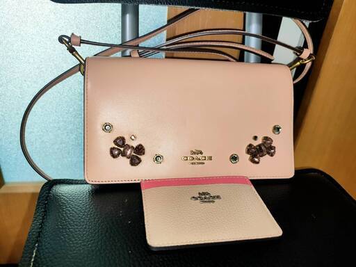 今人気のCOACHショルダーバックとカ―ドケ―ス　2点美品　内装袋とショップ袋付き