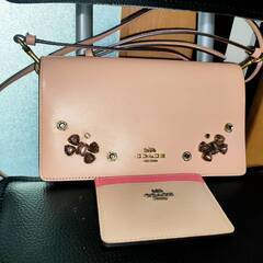 　今人気のCOACHショルダーバックとカ―ドケ―ス　2点美品　内...