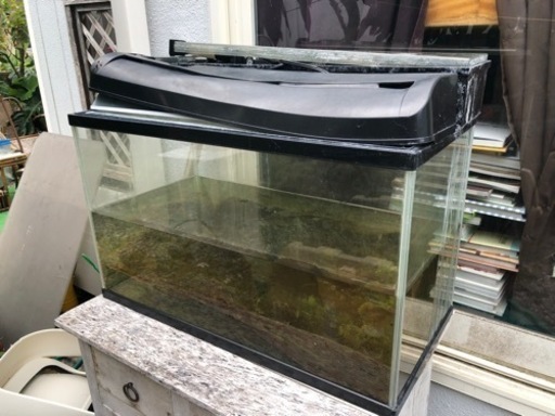 60㎝水槽、他（卒業品）