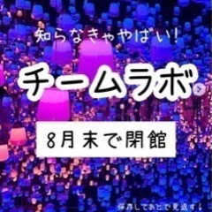 明日8/30~31【チームラボボーダーレス お台場】に 一緒に行...