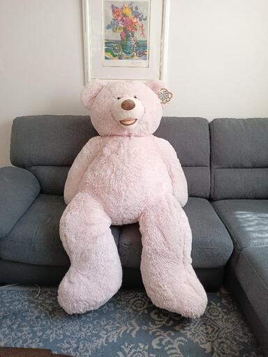 クマのぬいぐるみ、美品2000円