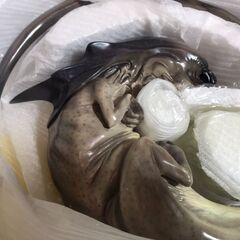 【愛品館八千代店】サイドショウ　エイリアン3　フィータルクイーンマケットの画像