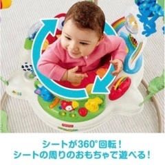 レインフォレスト フィッシャープライス ジャンパルーの画像
