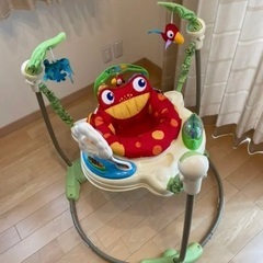 レインフォレスト フィッシャープライス ジャンパルーの画像