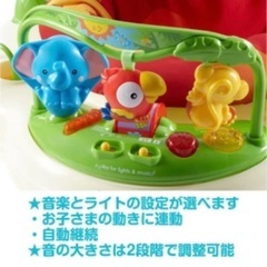 レインフォレスト フィッシャープライス ジャンパルーの画像