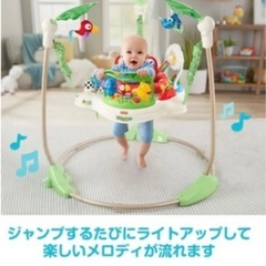 レインフォレスト フィッシャープライス ジャンパルーの画像