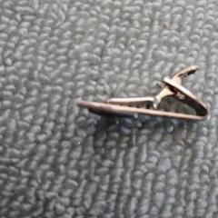 三菱重工のタイピンの画像