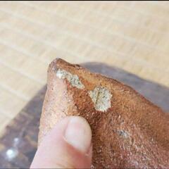 信楽焼き　変わり鉢の画像