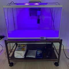 水槽セット＆水槽台