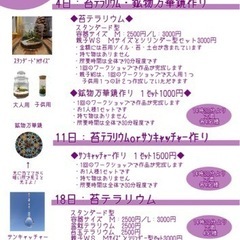 【葛飾区立石】9/4:苔テラリウムのワークショップです