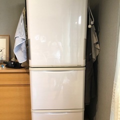 SHARP冷蔵庫
