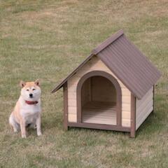 犬舎の中古が安い！激安で譲ります・無料であげます(4ページ目
