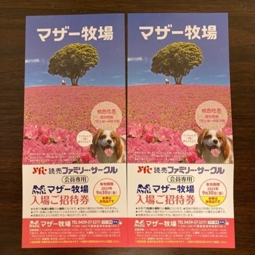 マザー牧場入場チケット　※9/30まで