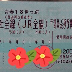 青春18きっぷ ３回分