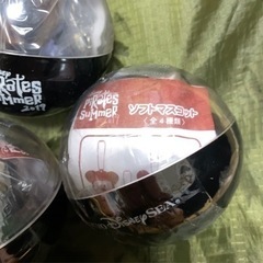 2019年ディズニーリゾート　亥年のスタンプとソフトマスコットの画像