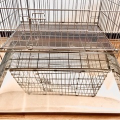 犬・ゲージ　２-3日以内に受け取り可能の方の画像