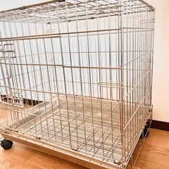 犬・ゲージ　２-3日以内に受け取り可能の方の画像