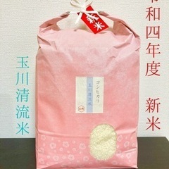 令和4年新米　玉川清流米　コシヒカリ　精米10キロ