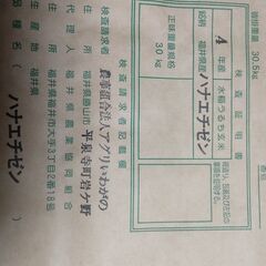 値下げ(新米)令和4年産ハナエチゼン10kg