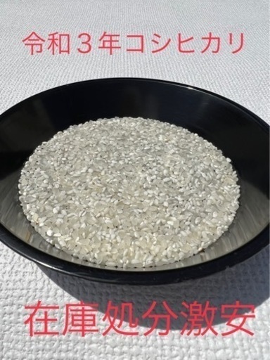 お米　コシヒカリ