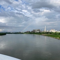 釣りしてみたい