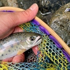 関東近郊で渓流ルアー仲間募集！現地集合解散でタンデム釣行