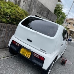 🔥完売御礼。ありがとうございました！！！！！🔥の画像