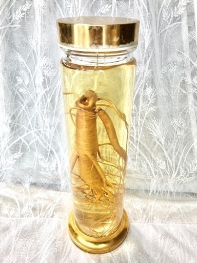 ⑤高麗人参酒 朝鮮人参酒 古酒 35年以上もの