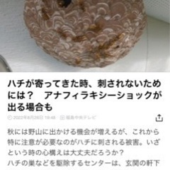 蜂の巣駆除　福島県全域　除草も