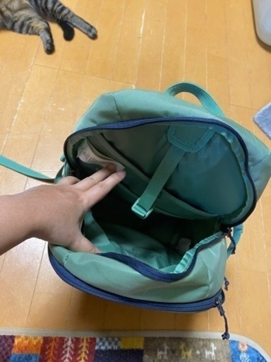 パタゴニア　レフュジオバックパック　26L