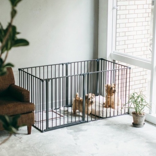 スカンジナビアンペットケージ XXL 中古(2カ月使用) 美品　ペット　犬