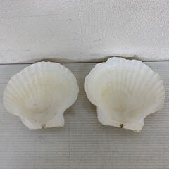 貝皿 貝殻 ハンドメイド パーツ 二枚貝 100個の画像