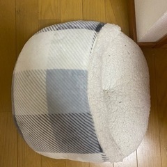 決定。足を入れてぬくぬくするやつです☺️