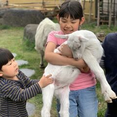 ［上之郷フラクタル〜食と農の原体験〜］マーケット・農業体験・動物のふれあいイベント - 地域/お祭り