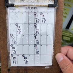 8月30日 めだか無人販売の画像