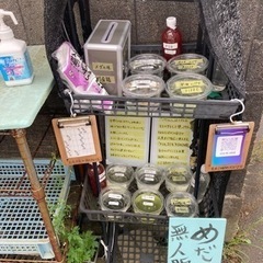 8月30日 めだか無人販売