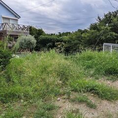 8/31　お近くの方で　草むしりお願い出来る方。