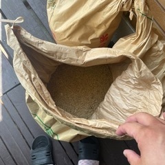 米30キロ3袋（家畜様？）の画像
