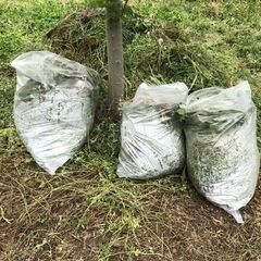 庭や畑の草刈りいたします。ハイハイネットにご連絡ください - 便利屋