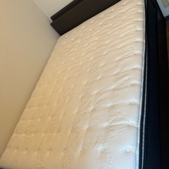 ダブルベッド　　ニトリ　【決まりました】