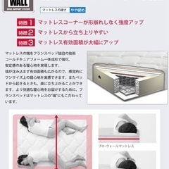 マットレス プロ・ウォール ハード セミダブル PRO-WALL HARD エッジサポート 防ダニ 抗菌防臭加工 マルチラスハードスプリング francebedの画像
