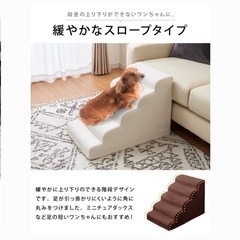 美品　ペット用スロープ/ステップ5段の画像